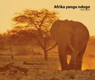Afrika yangu ndogo book cover