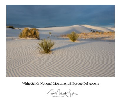 White Sands National Monument and Bosque Del Apache 2016 book cover