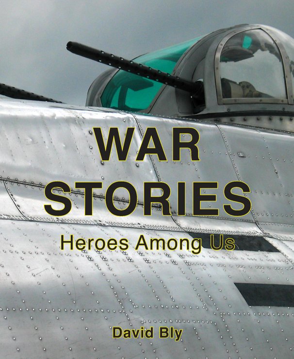 View War Stories by David Bly