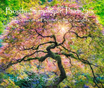 Bodhi Smith Impressionist Photography book cover