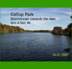 Gallup Park - downstream towards the dam book cover