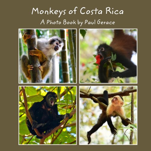 View Monkeys of Costa Rica - A Photo Book by Paul Gerace by Paul Gerace