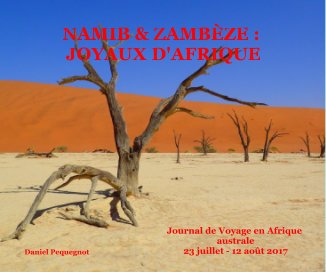 NAMIB & ZAMBÈZE : JOYAUX D'AFRIQUE book cover