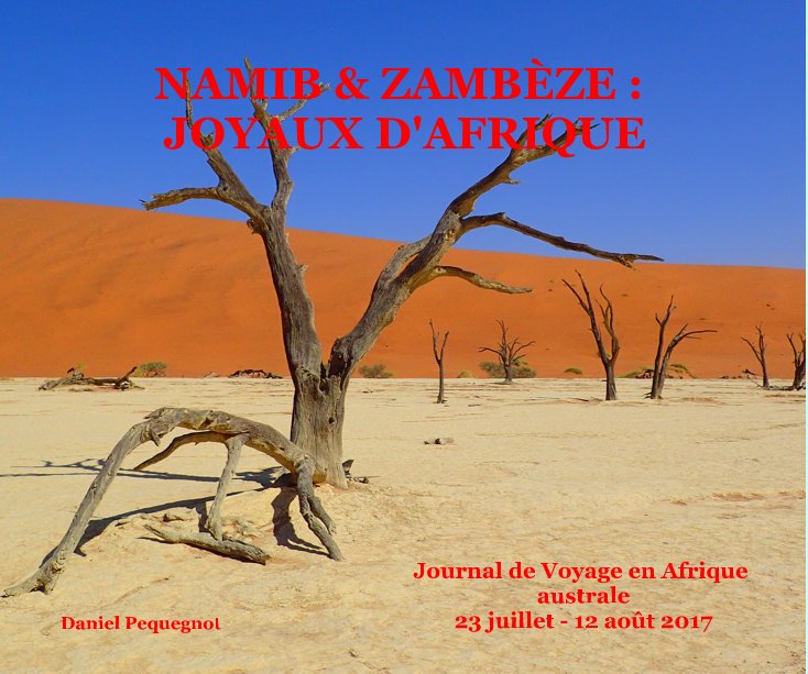 Ver NAMIB & ZAMBÈZE : JOYAUX D'AFRIQUE por Daniel Pequegnot