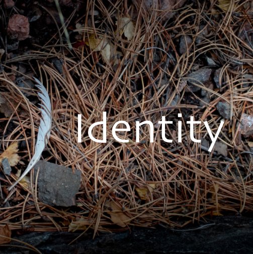 View Identity by Austin Funk