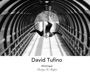David Tufino book cover
