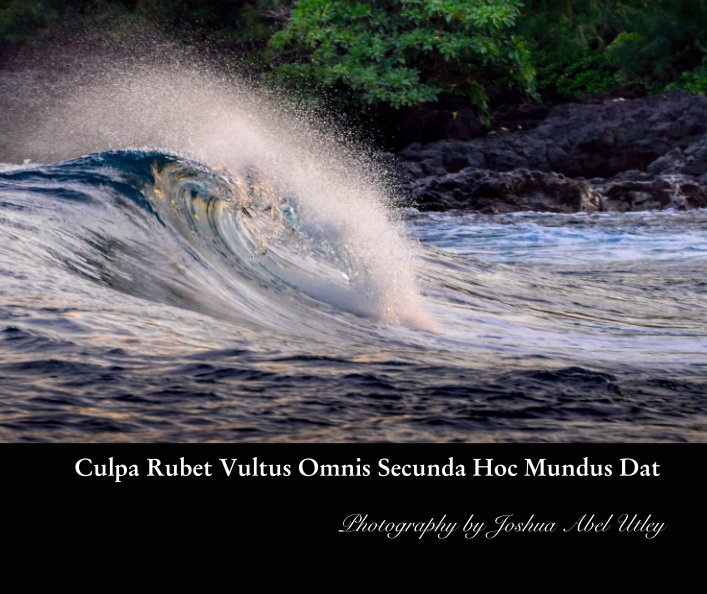 View Culpa Rubet Vultus Omnis Secunda Hoc Mundus Dat by Joshua Abel Utley