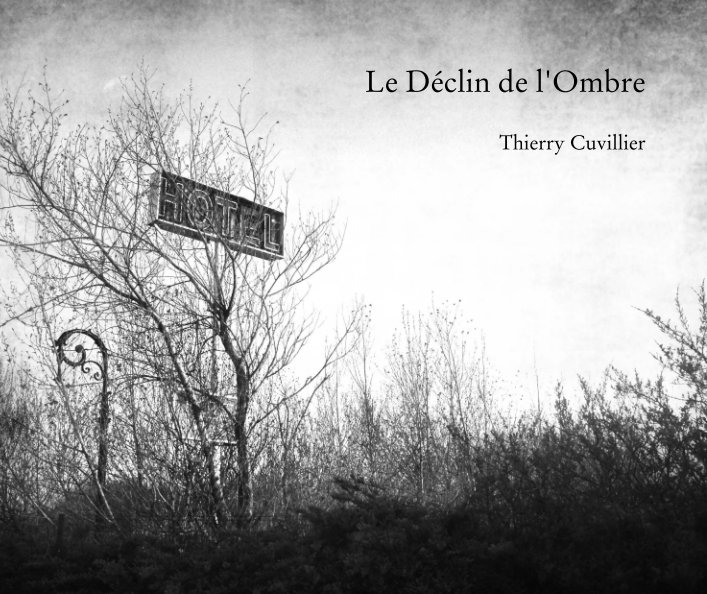 View Le Déclin de l'Ombre by Thierry Cuvillier