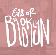 Cars of Brooklyn book cover