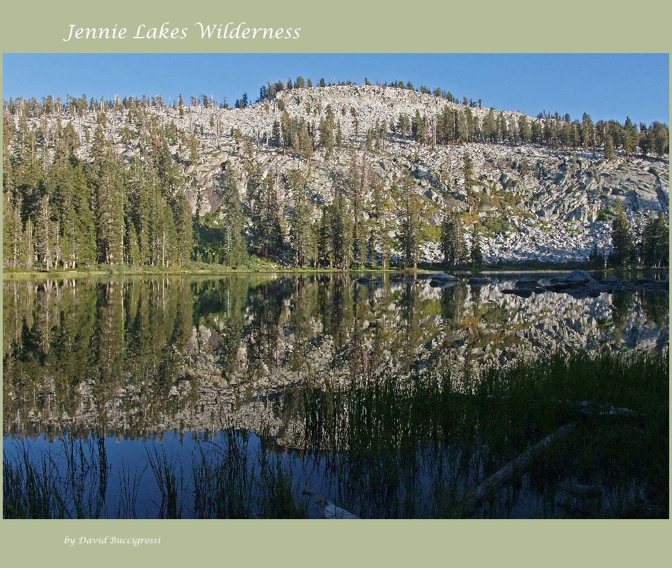 View Jennie Lakes Wilderness by David Buccigrossi