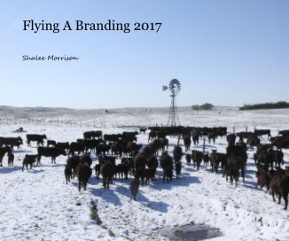 Flying A Branding 2017 book cover