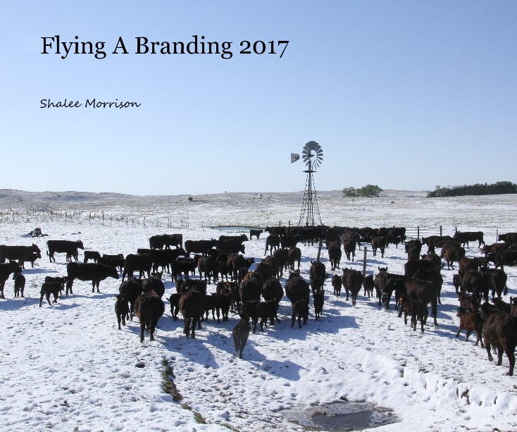 View Flying A Branding 2017 by Shalee Morrison