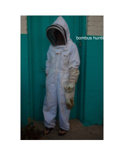 bombus huntii book cover