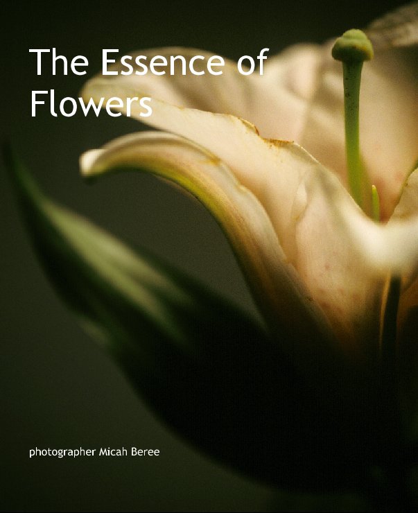 View The Essence of Flowers by photographer Micah Beree