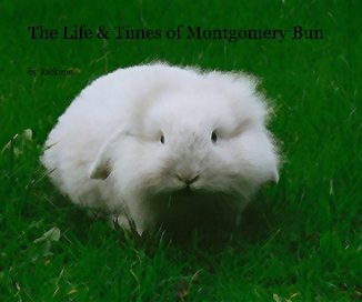 The Life & Times of Montgomery Bun book cover