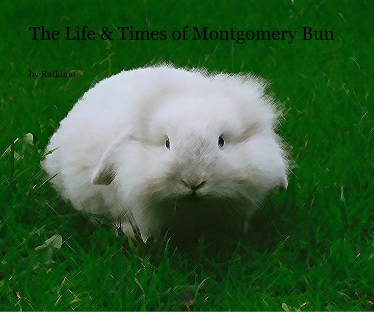 View The Life & Times of Montgomery Bun by Ratkimo