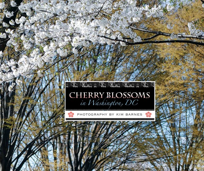 Ver Cherry Blossoms por photography by Kim Barnes