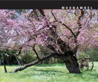 Moonambel book cover