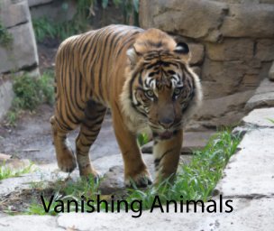 Vanishing Animals book cover