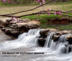 The Beauty of Southwest Missouri II book cover