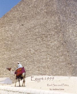 Egypt 1999 book cover