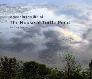 A year in the life of the house at Turtle Pond book cover