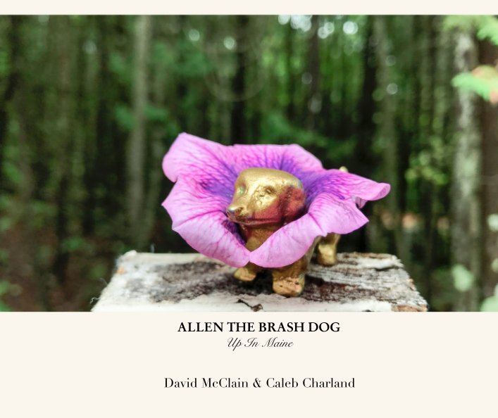 View ALLEN THE BRASH DOG Up In Maine by David McClain & Caleb Charland