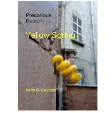 Precarious illusion Yellow Spring book cover