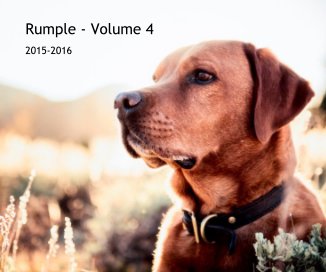 Rumple - Volume 4 book cover
