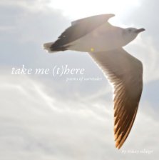 take me (t)here book cover
