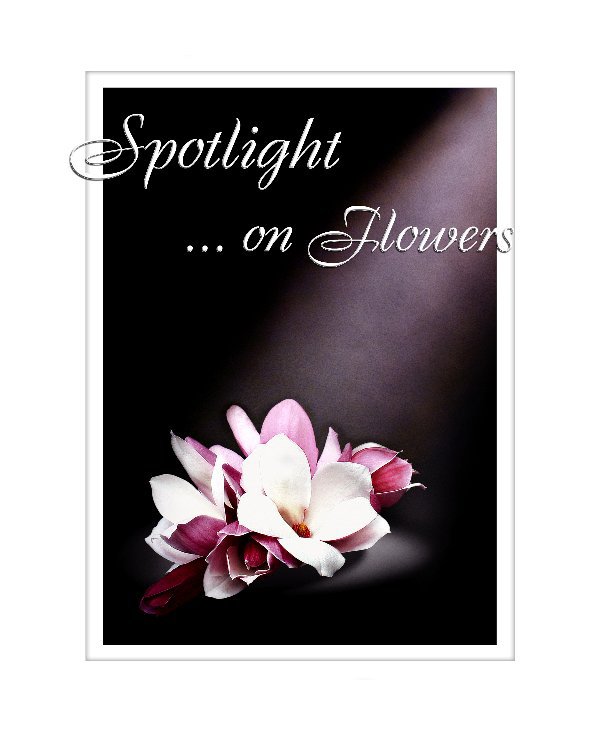 Ver Spotlight on Flowers por Chris Penn