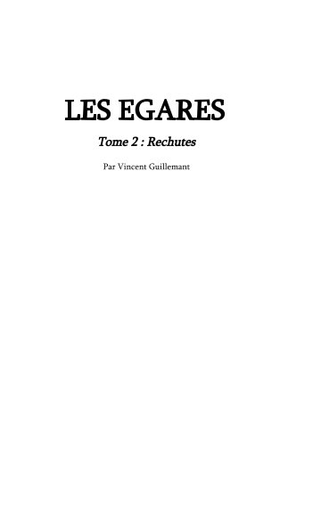 View LES EGARES tome 2 by Vincent Guillemant