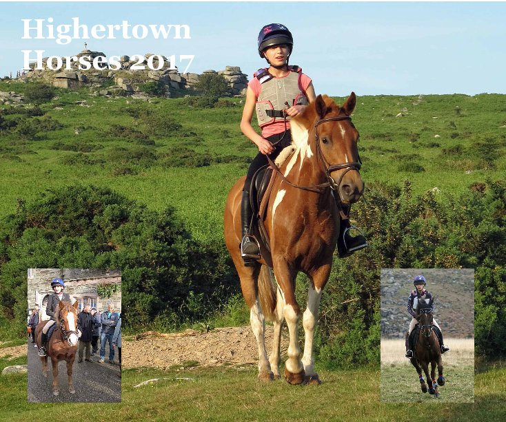 View Highertown Horses 2017 by Mary Harper