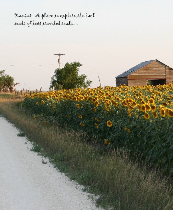 Ver Kansas: A Journey on the back roads..... por Cheryl Roy Calvin
