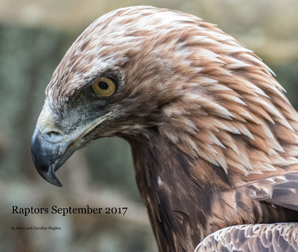 View Raptors September 2017 by Steve and Caroline Hughes