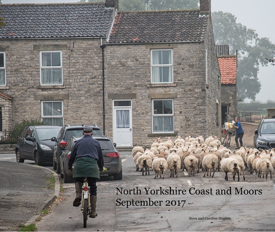 View North Yorkshire Coast and Moors September 2017 by Steve and Caroline Hughes