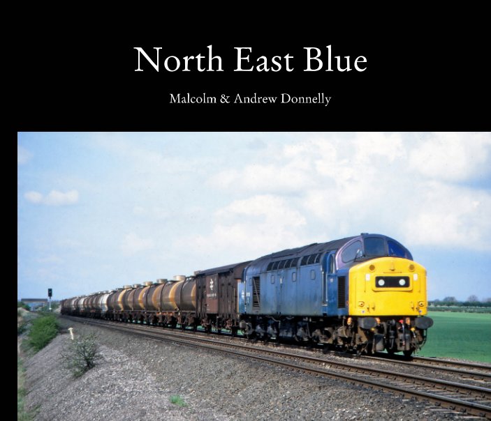 View North East Blue by Malcolm and Andrew Donnelly