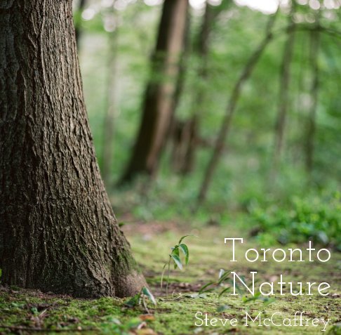 Toronto Nature nach Steve McCaffrey anzeigen