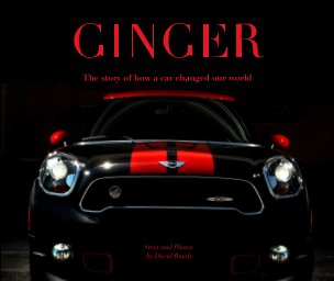Ginger book cover