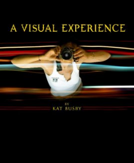 A Visual Experience book cover