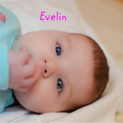 Evelin book cover