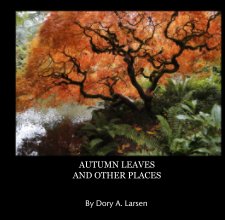 AUTUMN LEAVES   AND OTHER PLACES book cover