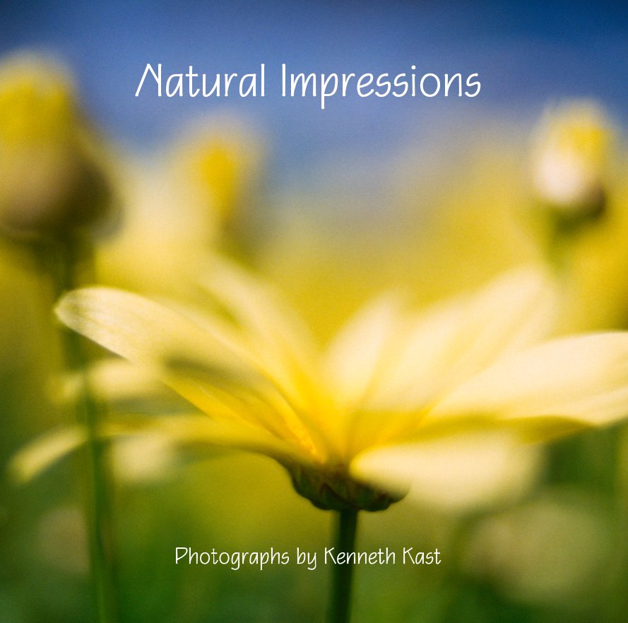 View Natural Impressions by Kenneth Kast