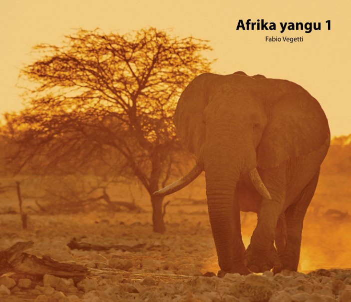 View Afrika yangu 1 by Fabio Vegetti