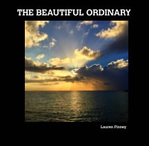 THE BEAUTIFUL ORDINARY book cover