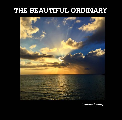 Ver THE BEAUTIFUL ORDINARY por Lauren Finney