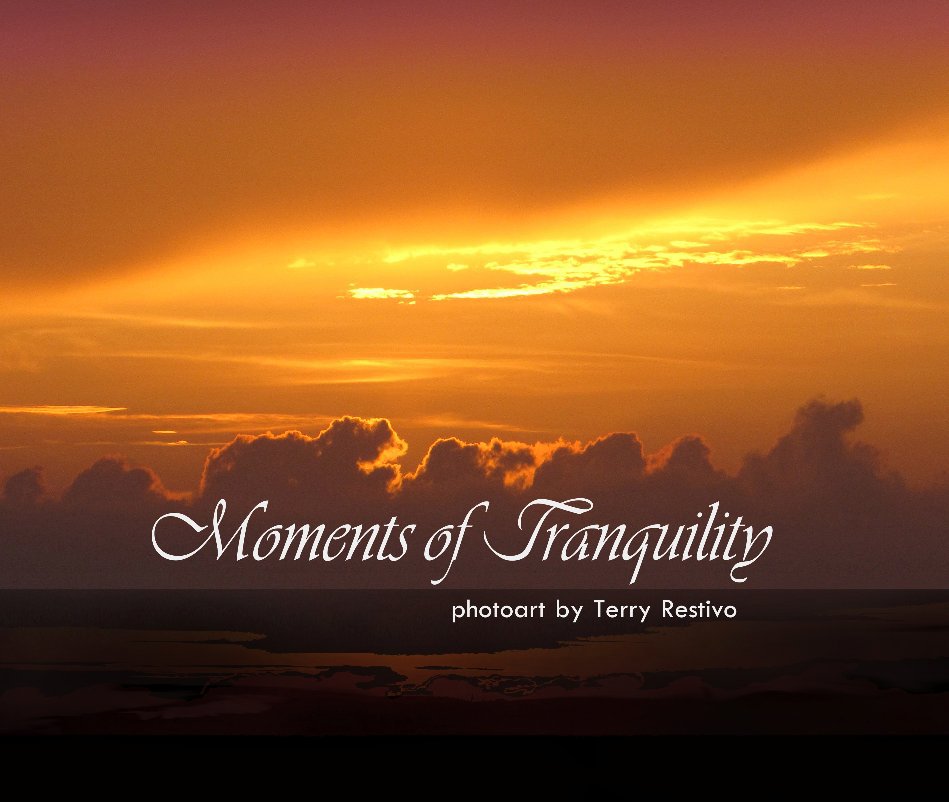 View Moments Of Tranquility by Terry Restivo
