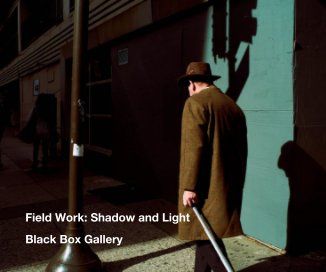 Field Work: Shadow and Light book cover