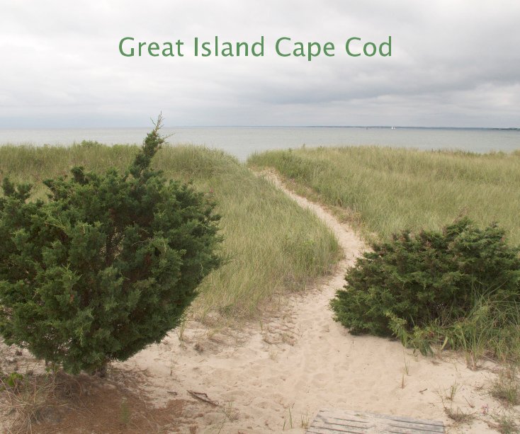View Great Island Cape Cod by Virginia Khuri
