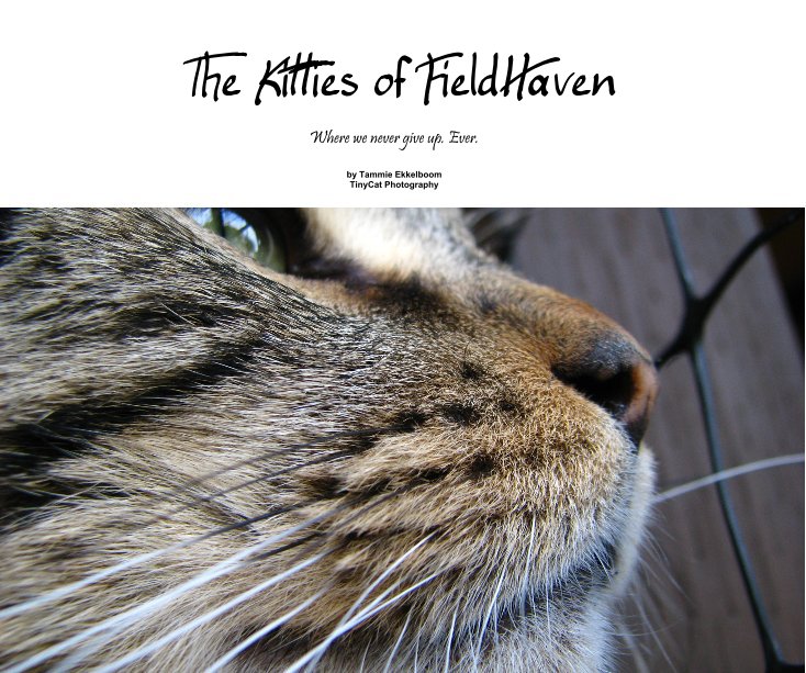 Visualizza The Kitties of FieldHaven di Tammie Ekkelboom TinyCat Photography
